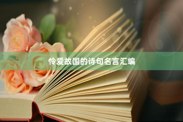 怜爱故国的诗句名言汇编